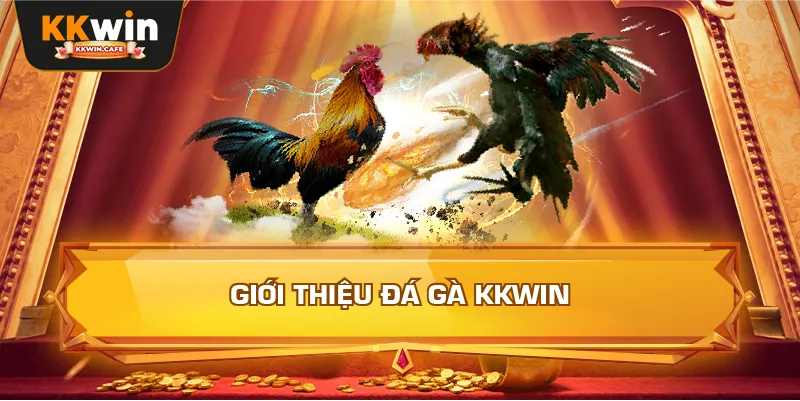Giới Thiệu Đá Gà Kkwin