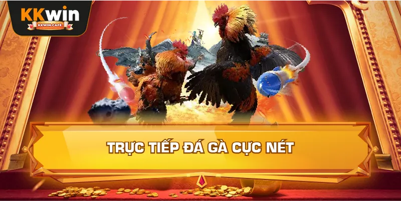 Trực tiếp đá gà cực nét