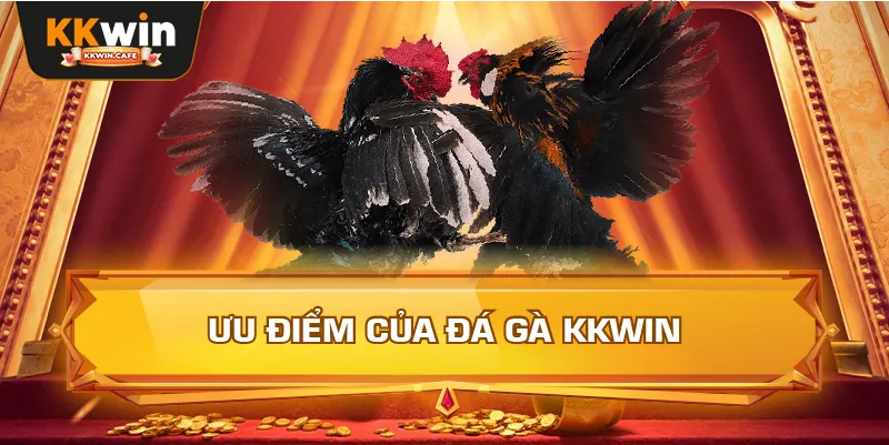 Ưu Điểm Của Đá Gà Kkwin